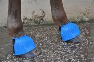 Quelles sont ces protections ?