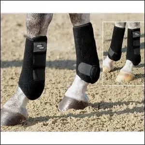 Quelles sont ces protections ?