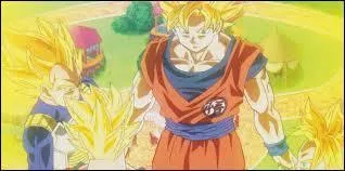 Lequel de ces personnages est le super saiyen god ?