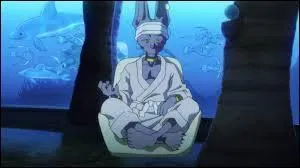 Combien de temps Beerus demande-t-il à Whis de dormir ?