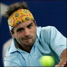 Né le 17 décembre 1977 à Aix-en-Provence - Professionnel de 1996 à 2012 - Droitier - Finaliste à l'Open d'Australie en 2000 - 
4 titres en simple et 12 titres en double - Meilleur classement : 10e en avril 2001.