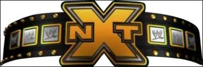 Qui possède la ceinture de la NXT ?