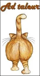 "Crasse". D&eacute;barrassez-vous de cette lettre et direction piscine pour am&eacute;liorer cette nage que vous ne ma&icirc;trisez pas encore !