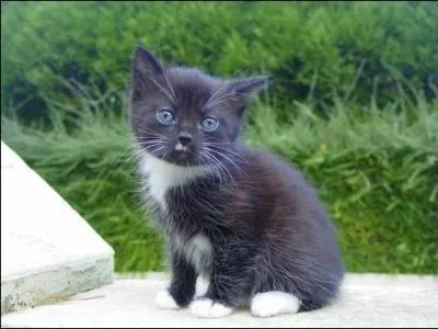 Changez deux lettres &agrave; "grappe" et vous pourrez conna&icirc;tre son poids.