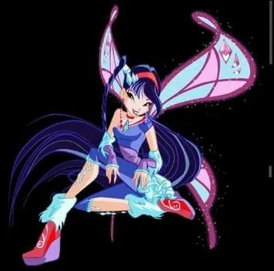 Quel est son pouvoir ?