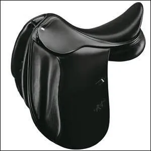 Quelle est ce type de selle ?