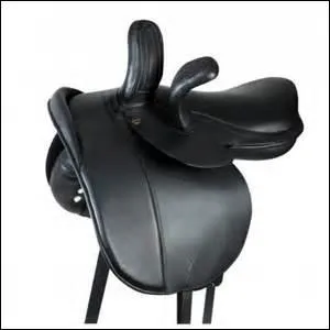 Quelle est ce type de selle ?