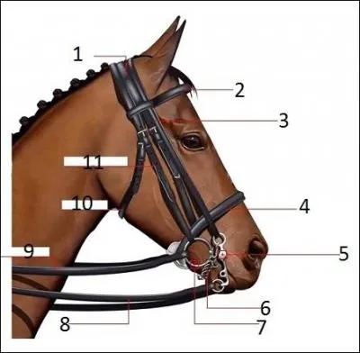 Quel est le numéro 4 ?