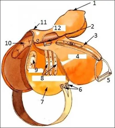 Quel est le numéro 12 ?