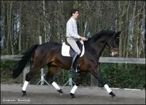 Qu'est-ce que l'impulsion ?