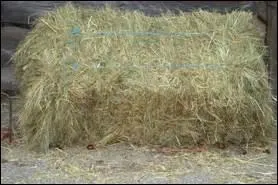 Quels sont les différents fourrages ?