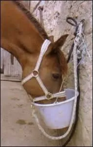 Qu'est-ce que "couper l'eau" ?