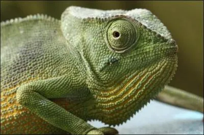 Soyez attentifs et vous y serez, sur le ...