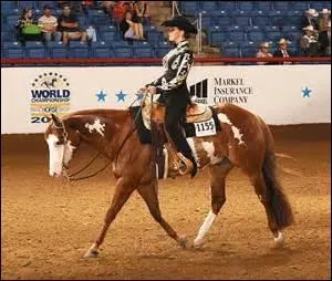 Quelle est cette discipline équestre ?