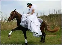 Quelle est cette discipline équestre ?