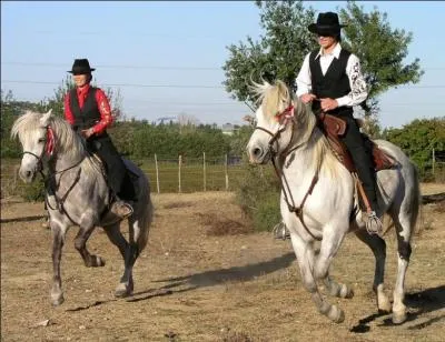 Quelle est cette discipline équestre ?