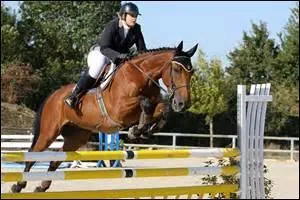 Quelle est cette discipline équestre ?