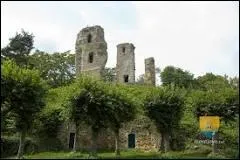 11 - Montfort-l'Amaury est une ville situ&eacute;e dans les Yvelines. Quel artiste lui rend hommage ?