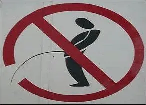 La signification de l'illustration associée au préfixe "so" donne la platine.