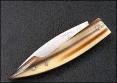 C'est un coquillage.