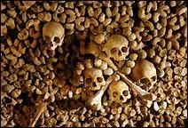 "Catacombes", film d'épouvante où l'action se déroule sous Paris, est un film...