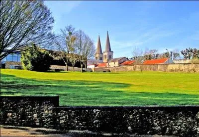 Dans quel d&eacute;partement est situ&eacute;e la ville de Maul&eacute;on autrefois appel&eacute;e Ch&acirc;tillon-sur-S&egrave;vre ?