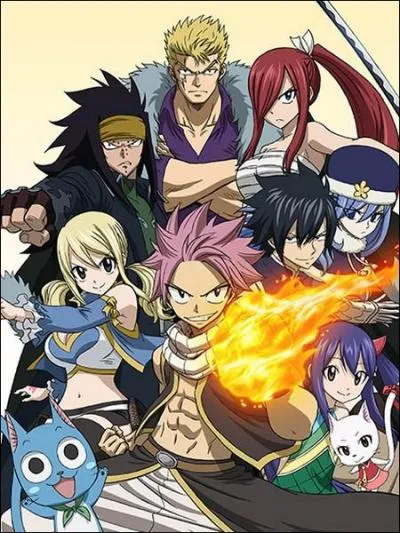 Dans "Fairy Tail", dans quel royaume évoluent nos héros ?