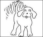 Que faut-il cocher ?