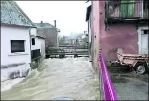On le contient à peine tant il est endiablé, violent et rapide.