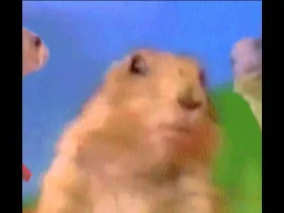 Qui est cet animal ?