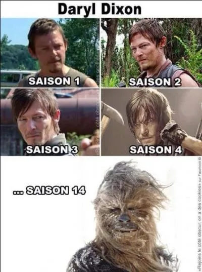 Selon la prvision de nos experts,  quoi ressemblerait Daryl  la saison 14 ?