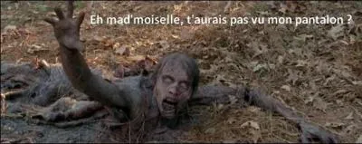 Tiens, mais que veut ce rôdeur ?