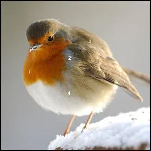 L'un des dix départements d'Haïti :