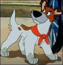 Dans "Oliver et Compagnie", Fagin est un clochard qui a sa bande de chiens dont parmi eux le leader qui s'appelle...