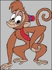 Dans "Aladdin", un petit singe de la race des sapajous est ami avec Aladdin et il l'accompagne dans ses aventures. Il se nomme :