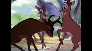 Dans "Bambi", lorsque Bambi est devenu un jeune cerf, il doit affronter un autre cerf pour les beaux yeux de Féline. Comment se prénomme son rival ?