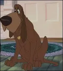 Dans "La Belle et le Clochard", Lady a deux amis dont un terrier écossais nommé Jock et un Saint Hubert qui se prénomme...