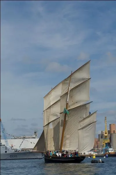 Quelle ville d'Ille-et-Vilaine, en Bretagne, est connue pour ses huîtres plates sauvages et ses huîtres creuses d'élevage ?