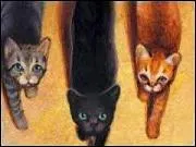 Qui essaye d'empoisonner Feuille de Lune avec des baies empoisonnées ?