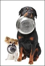 Parmi ces marques d'alimentation pour animaux domestiques, laquelle n'est pas exclusivement pour chiens ?