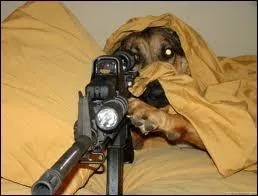 Quelle position avons-nous en dormant "en chien de fusil" ?