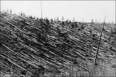 Comment s'appelle cette catastrophe naturelle ?