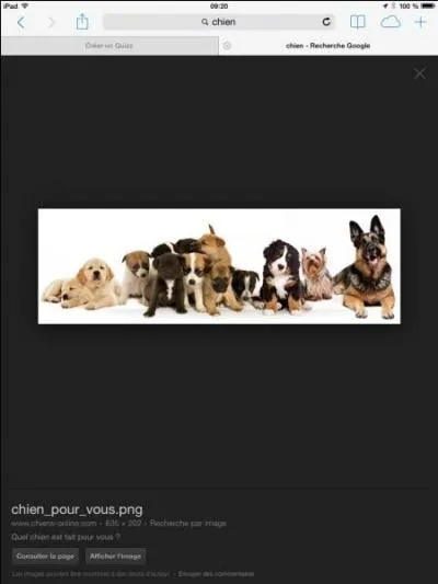 Que voit-on sur l'image ?