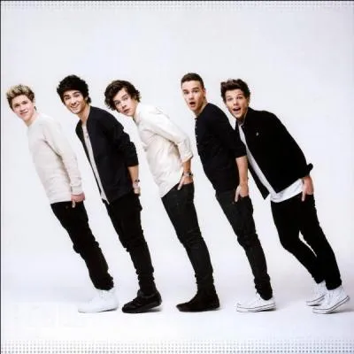 Où s'est tourné "What Makes You Beautiful" ?