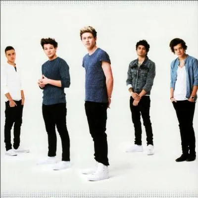 Grâce à quelle émission ont-il été connus ?