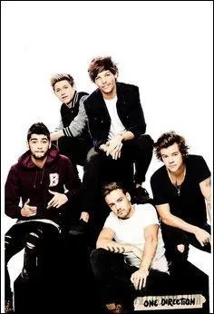 Quel clip des 1D allaient-ils peut-être être tourner à Paris ?