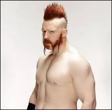 Quel est ce catcheur irlandais ?