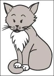 Comment dit-on cet animal en anglais ?