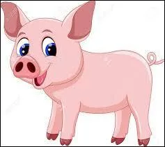 Comment dit-on cet animal en anglais ?