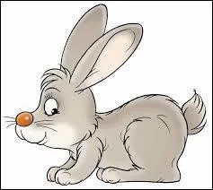 Comment dit-on cet animal en anglais ?